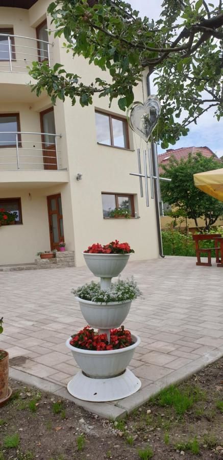 Проживание в семье Casa Ana Клуж-Напока